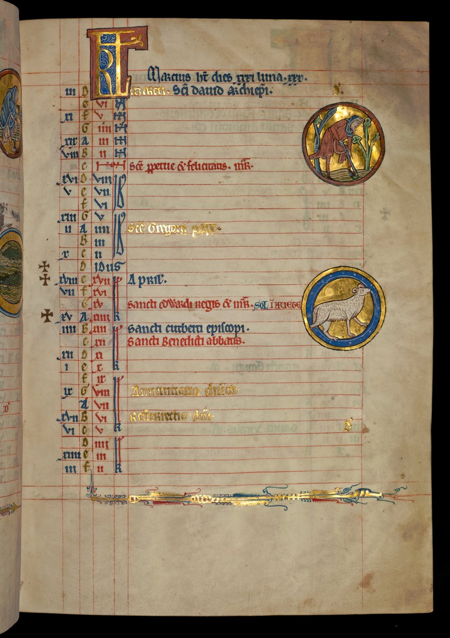 Ms 322 f.2r, March, mies kaivamassa, kuva "De Brailes Psalter" -kirjasta, n. 1250 tekijältä William de Brailes  