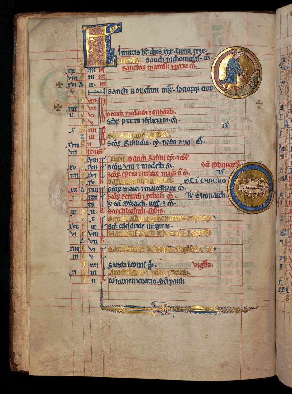 Ms 322 f.3v, June, mies kitkemässä, kuva "De Brailes Psalter" -kirjasta, n. 1250 tekijältä William de Brailes  