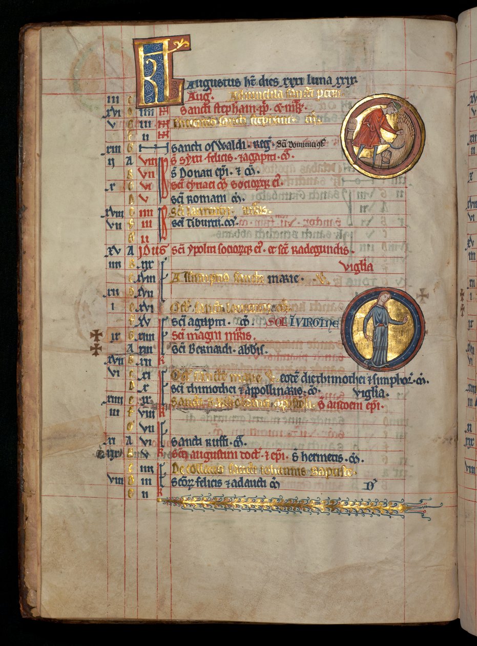 Ms 322 f.4v, August, mies leikkaamassa maissia, kuva "De Brailes Psalter" -kirjasta, n. 1250 tekijältä William de Brailes  