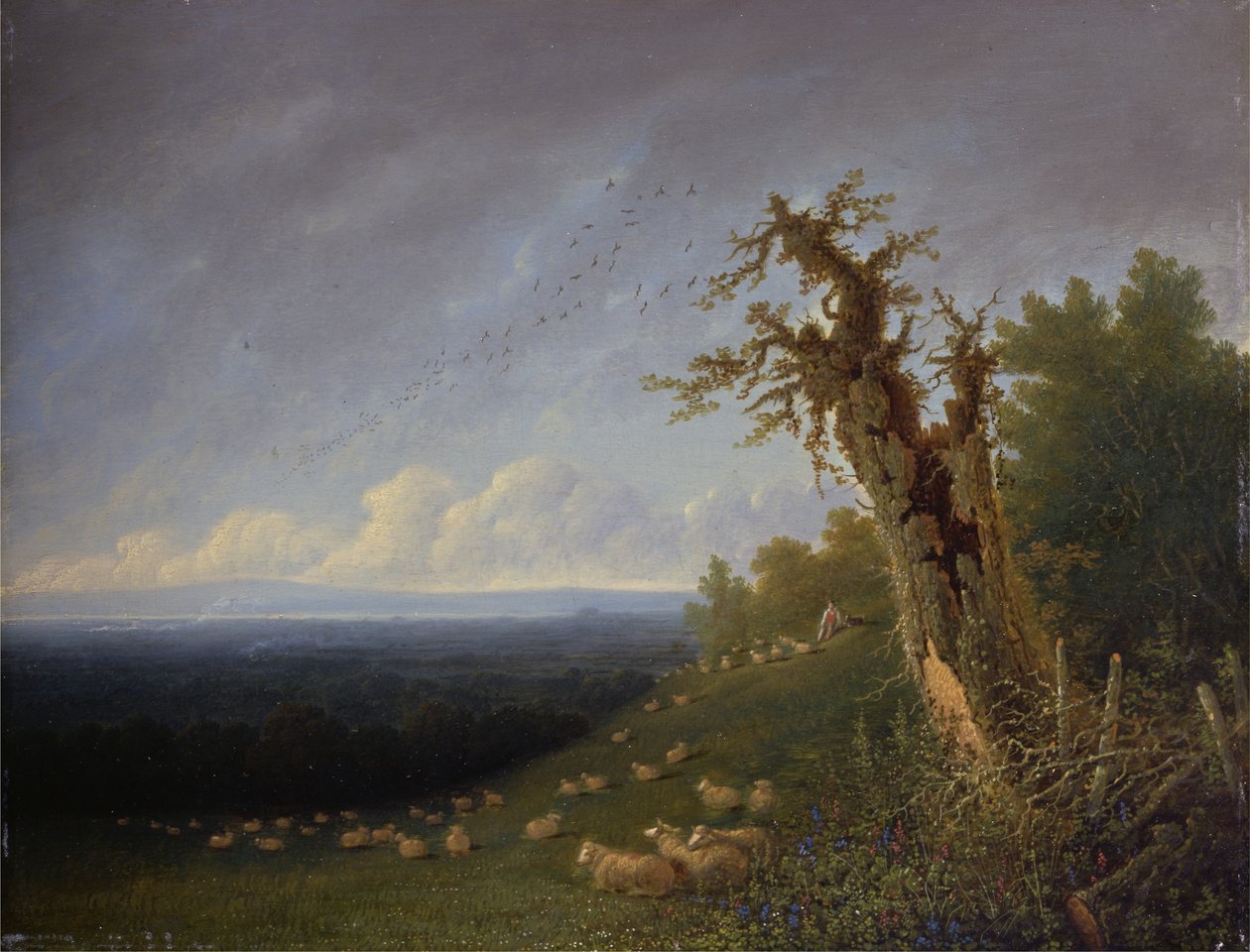 Paimenpoika kukkulanrinteellä (öljy paneelille) tekijältä Joseph Mallord William Turner