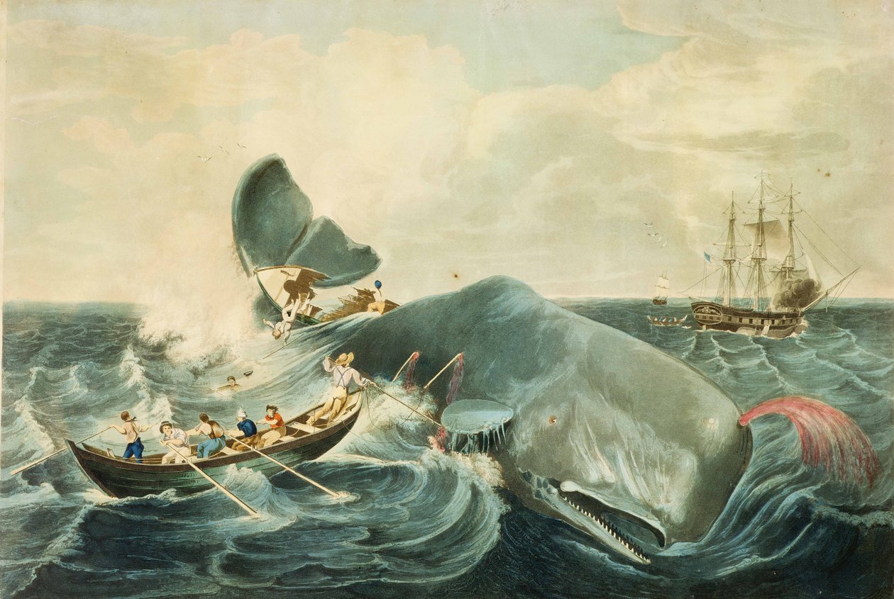 Spermavalaan pyydystäminen, kaiverrettu J. Hillin toimesta, julkaistu 1835 (väriakvatintti). tekijältä William (after) Page
