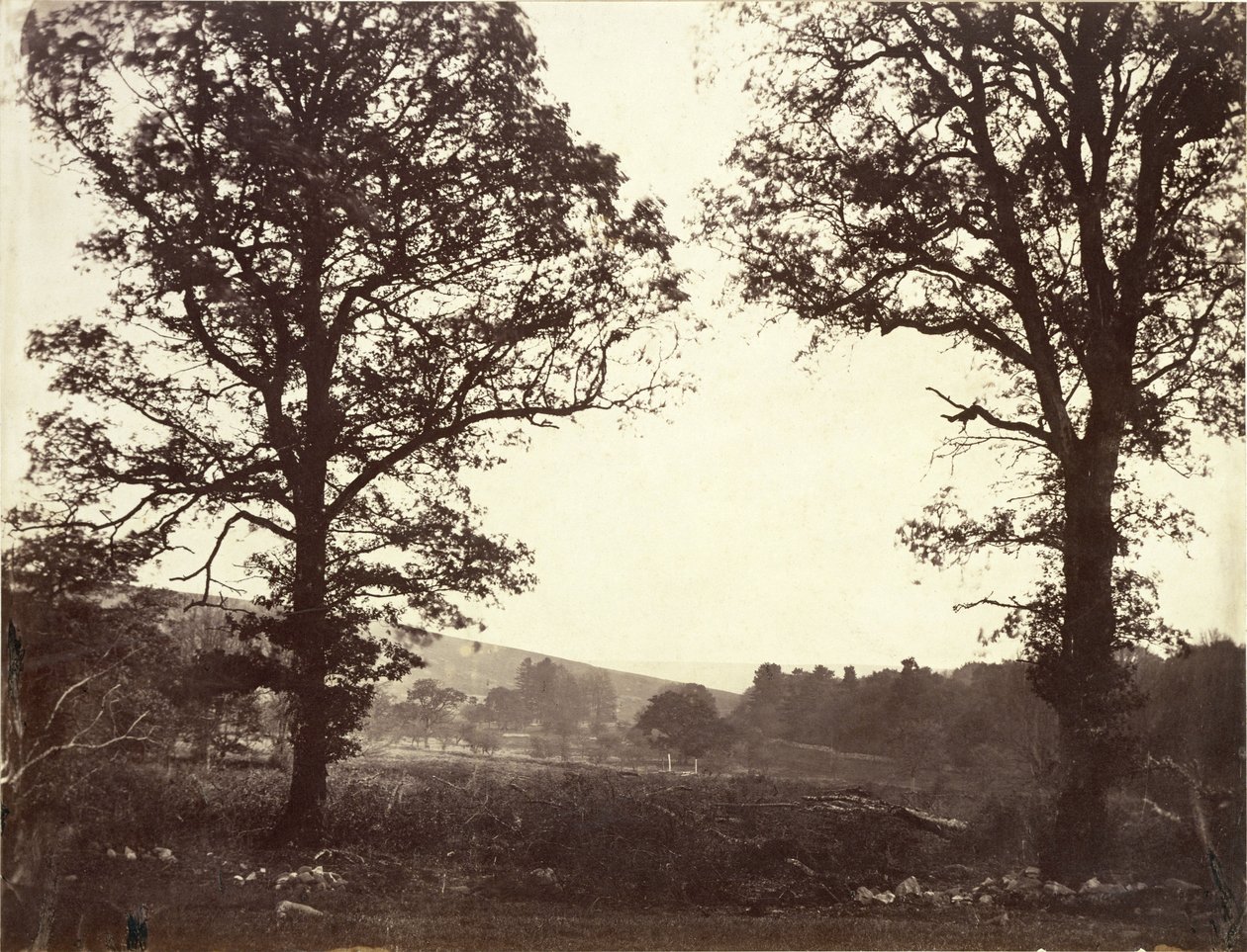 Maisema jalavan kanssa, Ashdown, Iso-Britannia tekijältä William 2nd Earl of Craven