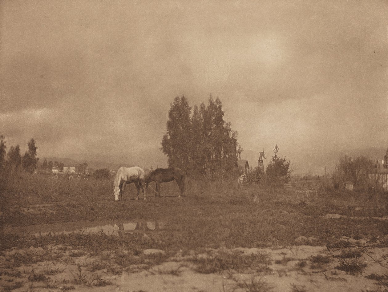 Pasadenan maisema tekijältä William B. Post