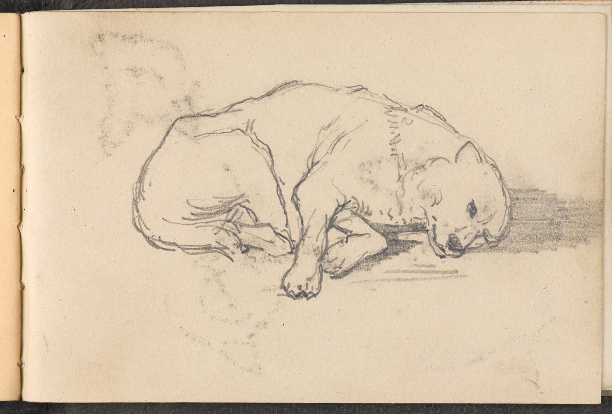 Luonnos nukkuvasta koirasta, noin 1879 tekijältä William Barnes Wollen