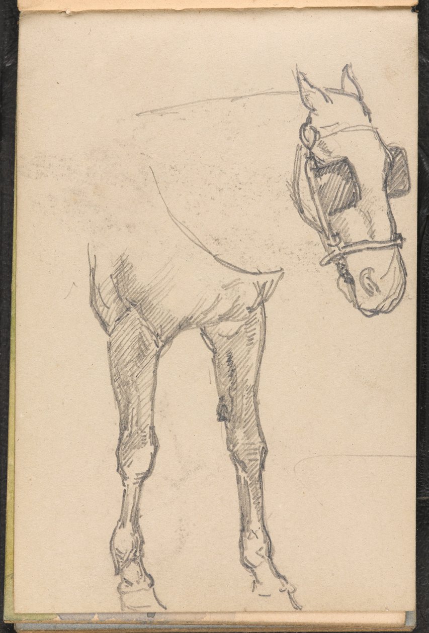 Luonnos hevosesta vilkkuvilla, 1879 noin tekijältä William Barnes Wollen