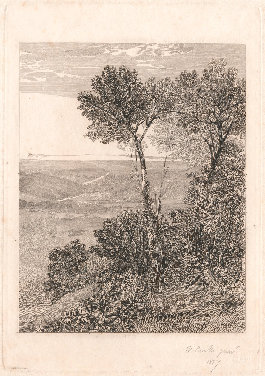O Vale de Ashburnham, uma réplica do Halffinnish direito tekijältä William Bernard Cooke
