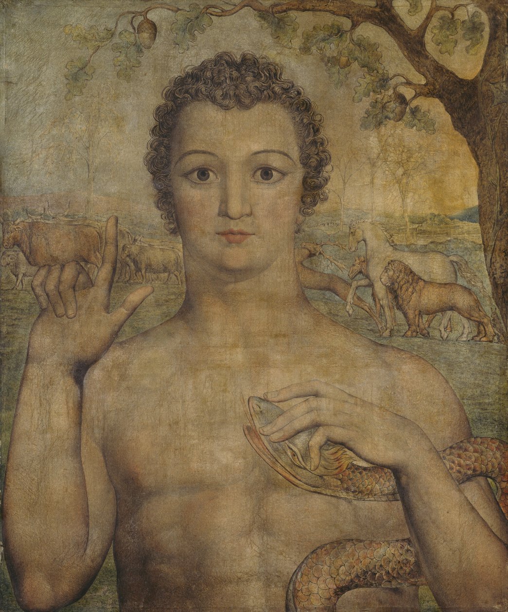 Adam nimeää pedot tekijältä William Blake