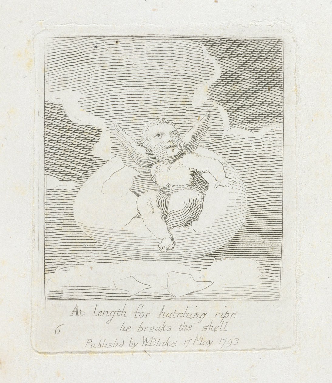Pituudeltaan kuoriutumiseen kypsä hän rikkoo kuoren, levy 8 julkaisusta For Children. Paratiisin portit, 1793 tekijältä William Blake
