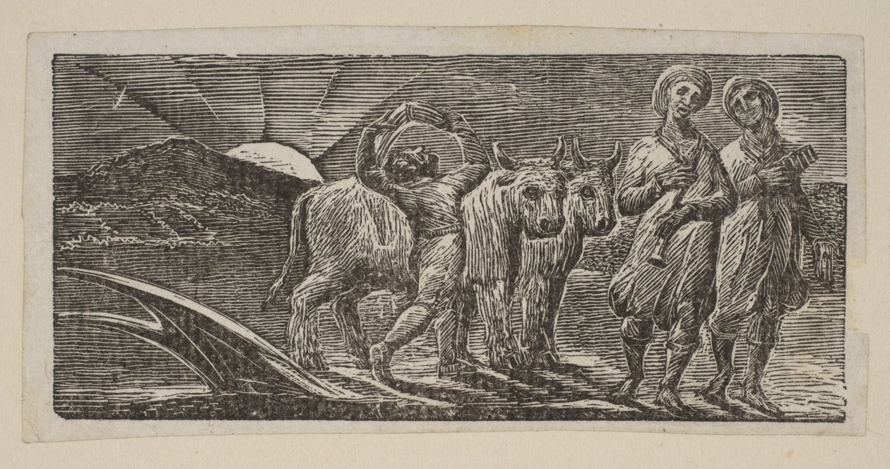 Poika palaa iloisena, aura ja härkä, Thorntons Pastorals of Vergilistä, 1821. tekijältä William Blake