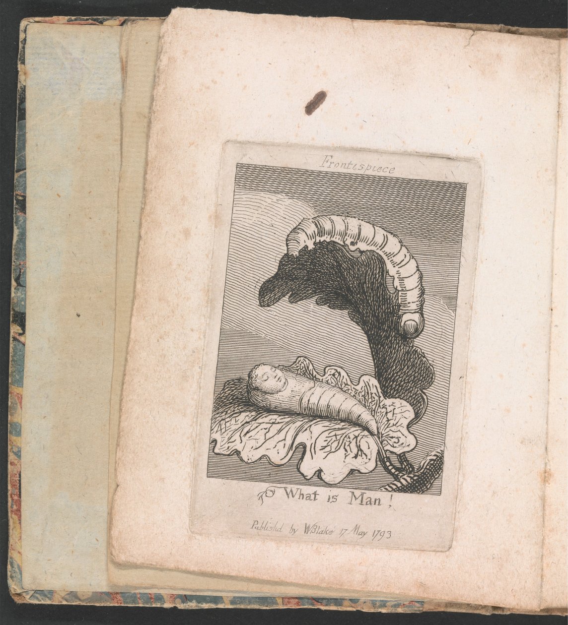 Lapsille. Paratiisin portit, levy 1, etukuva, Mikä on ihminen! tekijältä William Blake