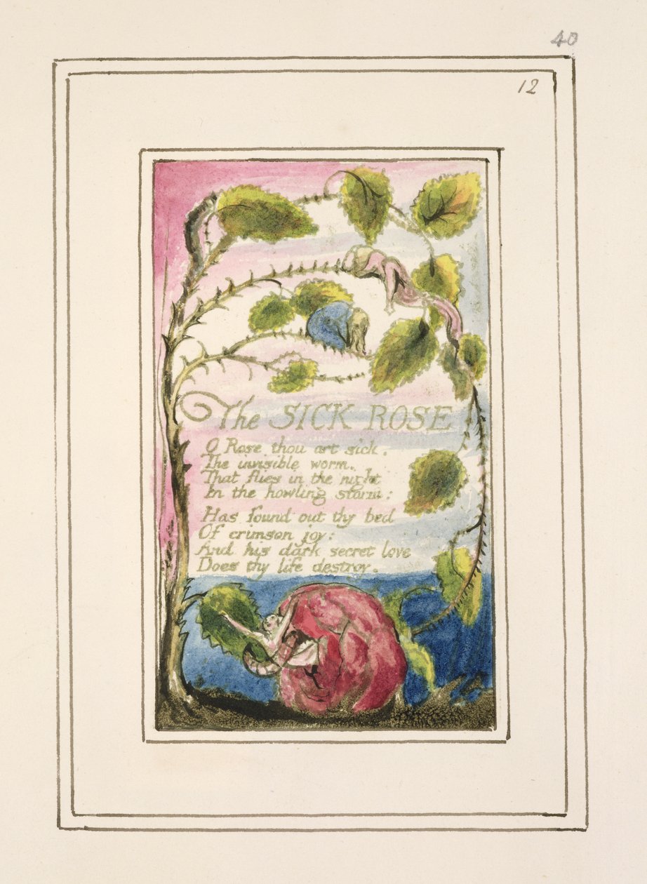 P.124-1950.pt40 Sairas ruusu: levy 40 julkaisusta Songs of Innocence and of Experience (kopio R) n. 1802-08 (etsaus, muste ja wc) tekijältä William Blake