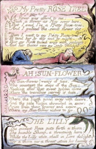 P.124-1950.pt44 Kaunis ruusupuuni; Ah! Auringonkukka; The Lilly: levy 44 julkaisusta Songs of Innocence and of Experience (kopio R) n. 1802-08 (etsaus, tussi ja akvarelli) tekijältä William Blake