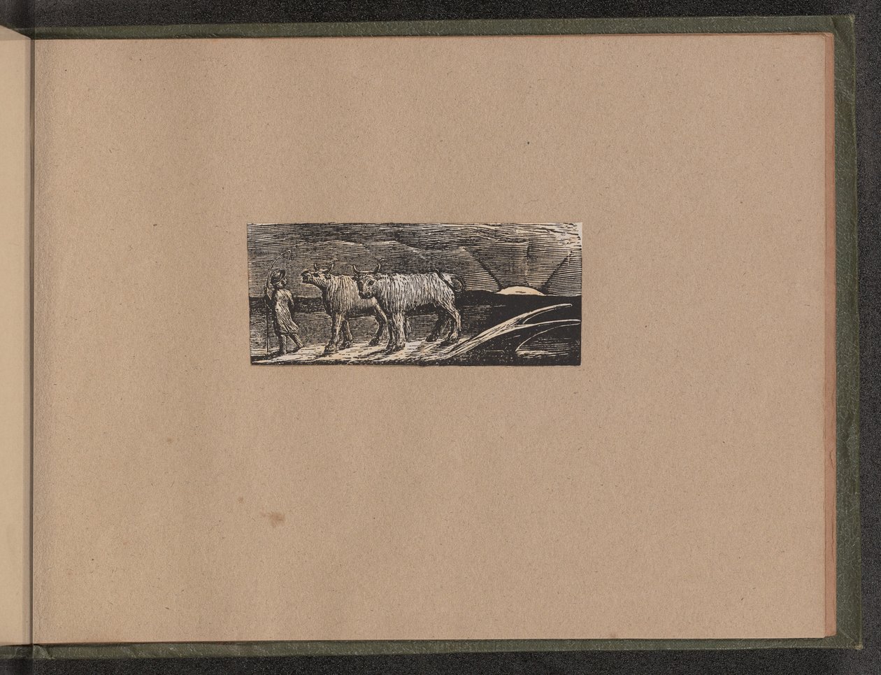 Paimenen paluu tekijältä William Blake