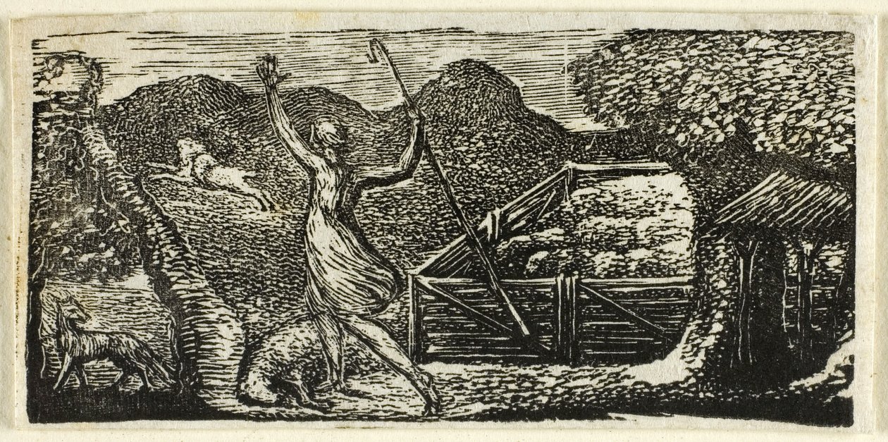 Shepherd Chases Away Wolf, The Pastorals of Vergil tekijältä William Blake