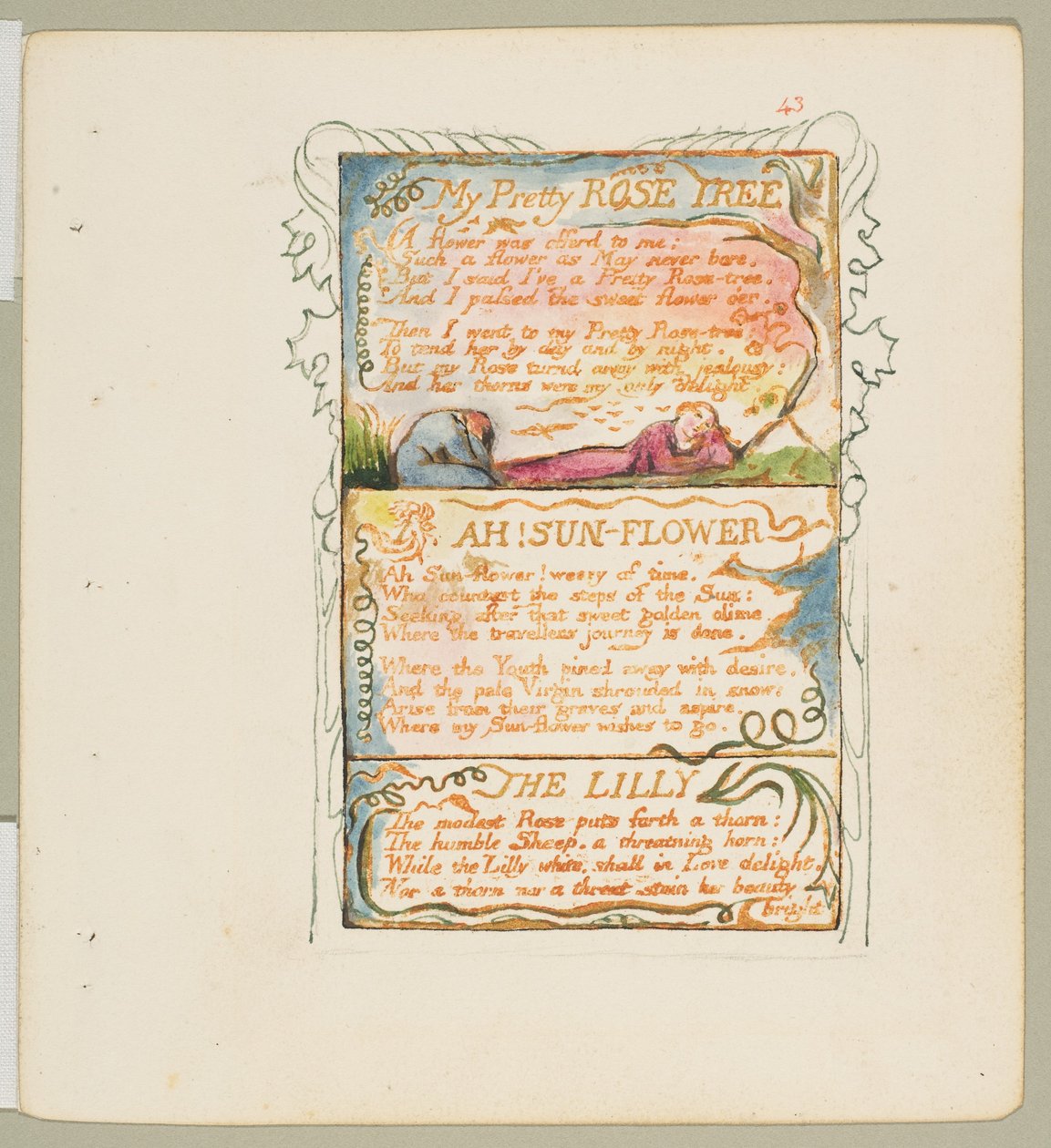Songs of Innoence and Experience: My Pretty Rose Tree, ah! Auringonkukka, Lilja, n. 1825. tekijältä William Blake