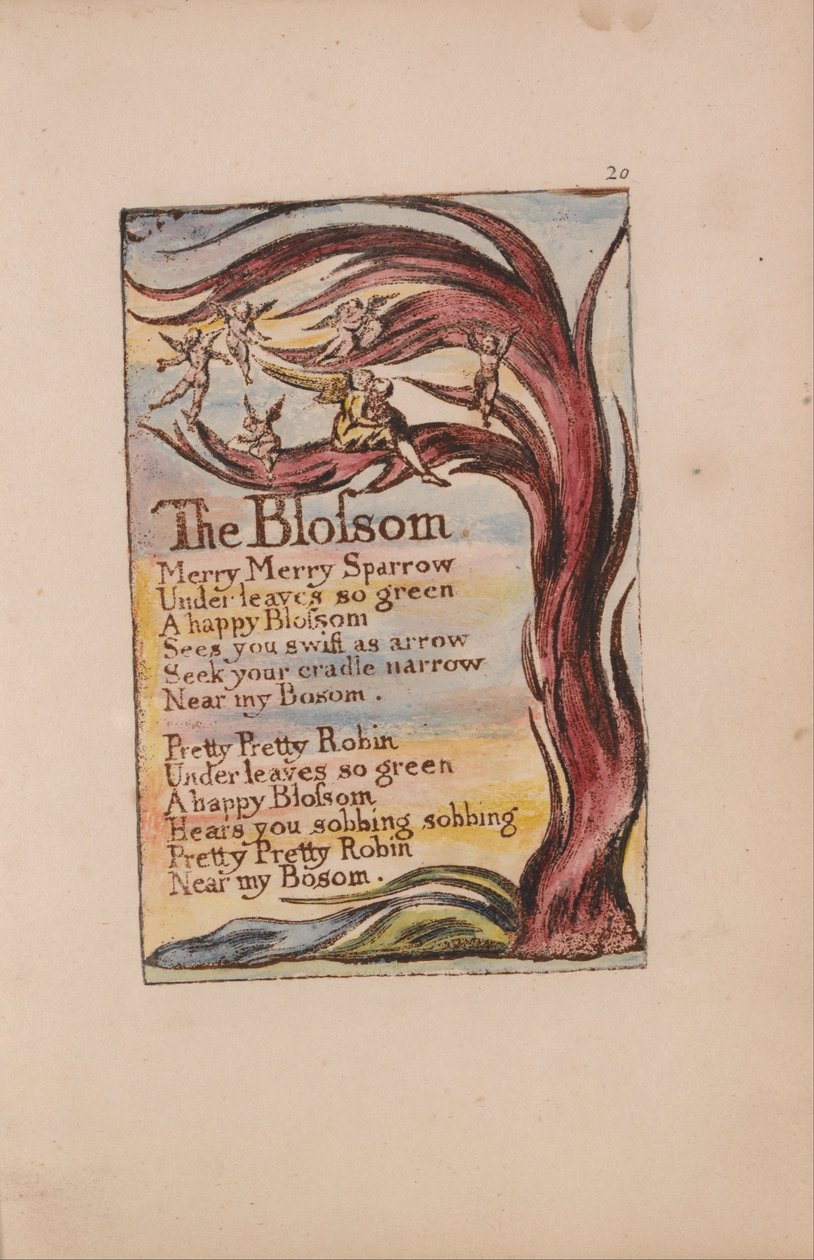 Viattomuuden ja kokemuksen lauluja, levy 20, Kukka (Bentley 11) tekijältä William Blake