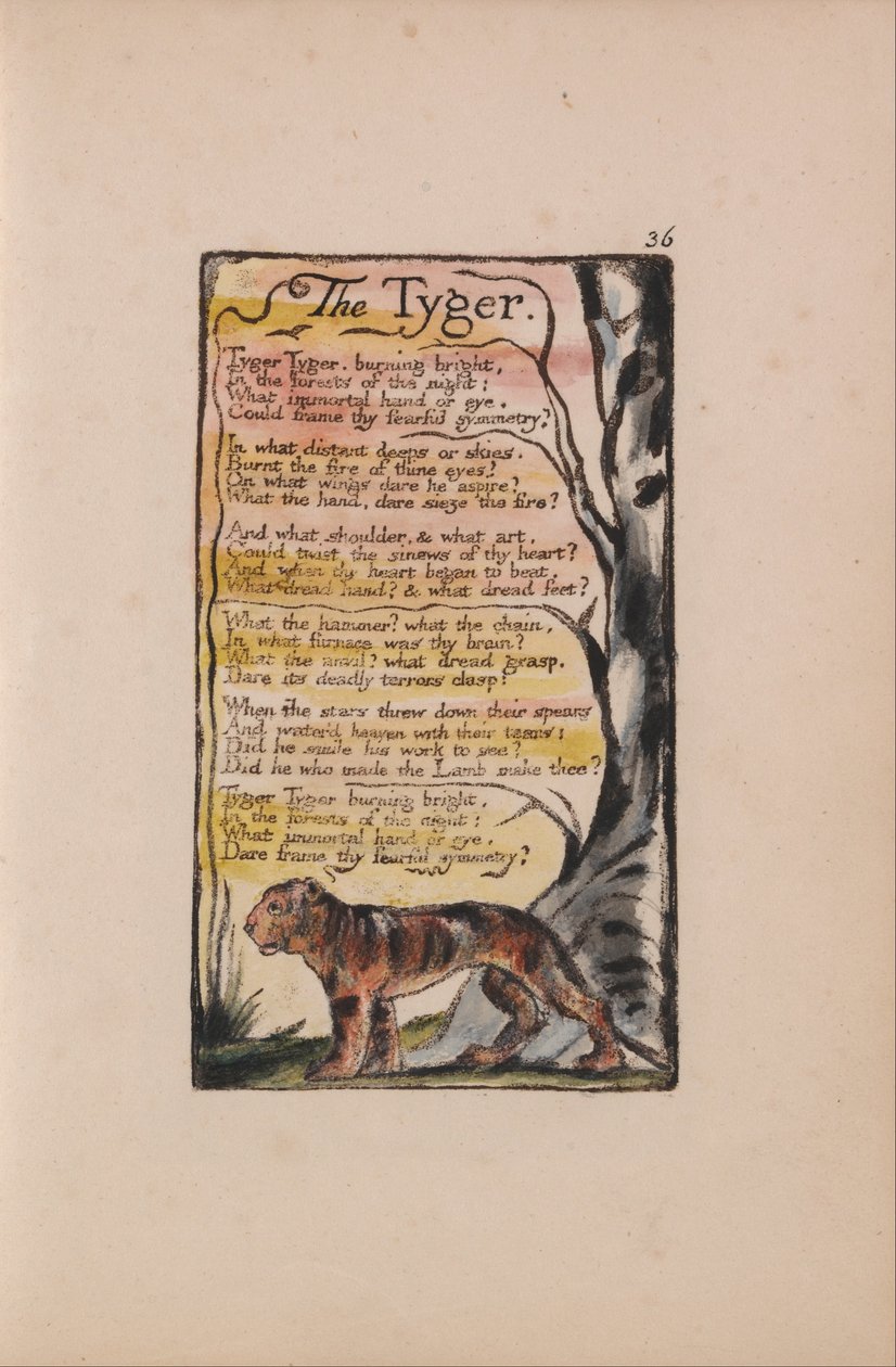 Songs of Innocence and of Experience, levy 36, Tyger (Bentley 42) tekijältä William Blake