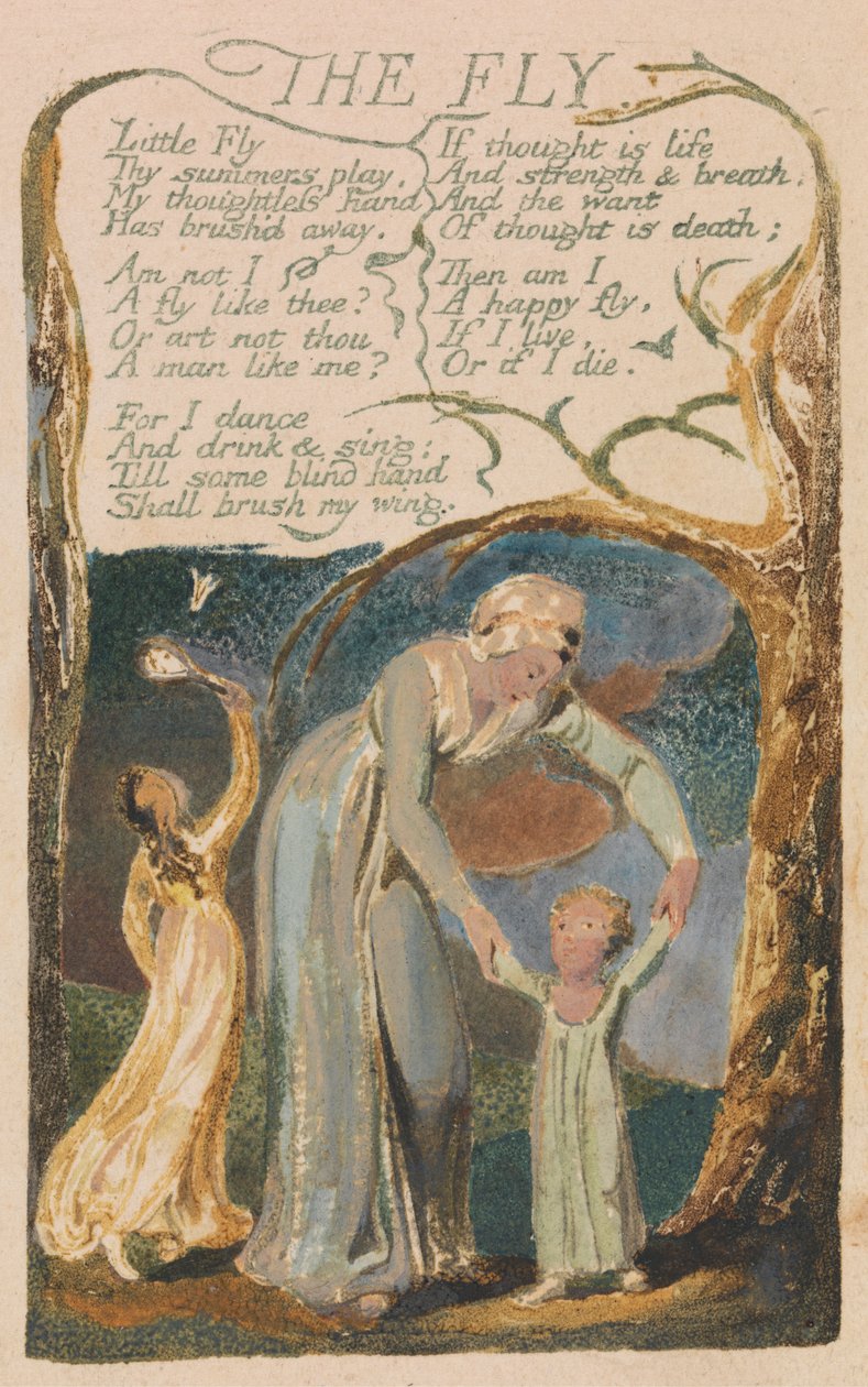 Songs of Innocence and of Experience, levy 48, "The Fly" (Bentley 40) tekijältä William Blake