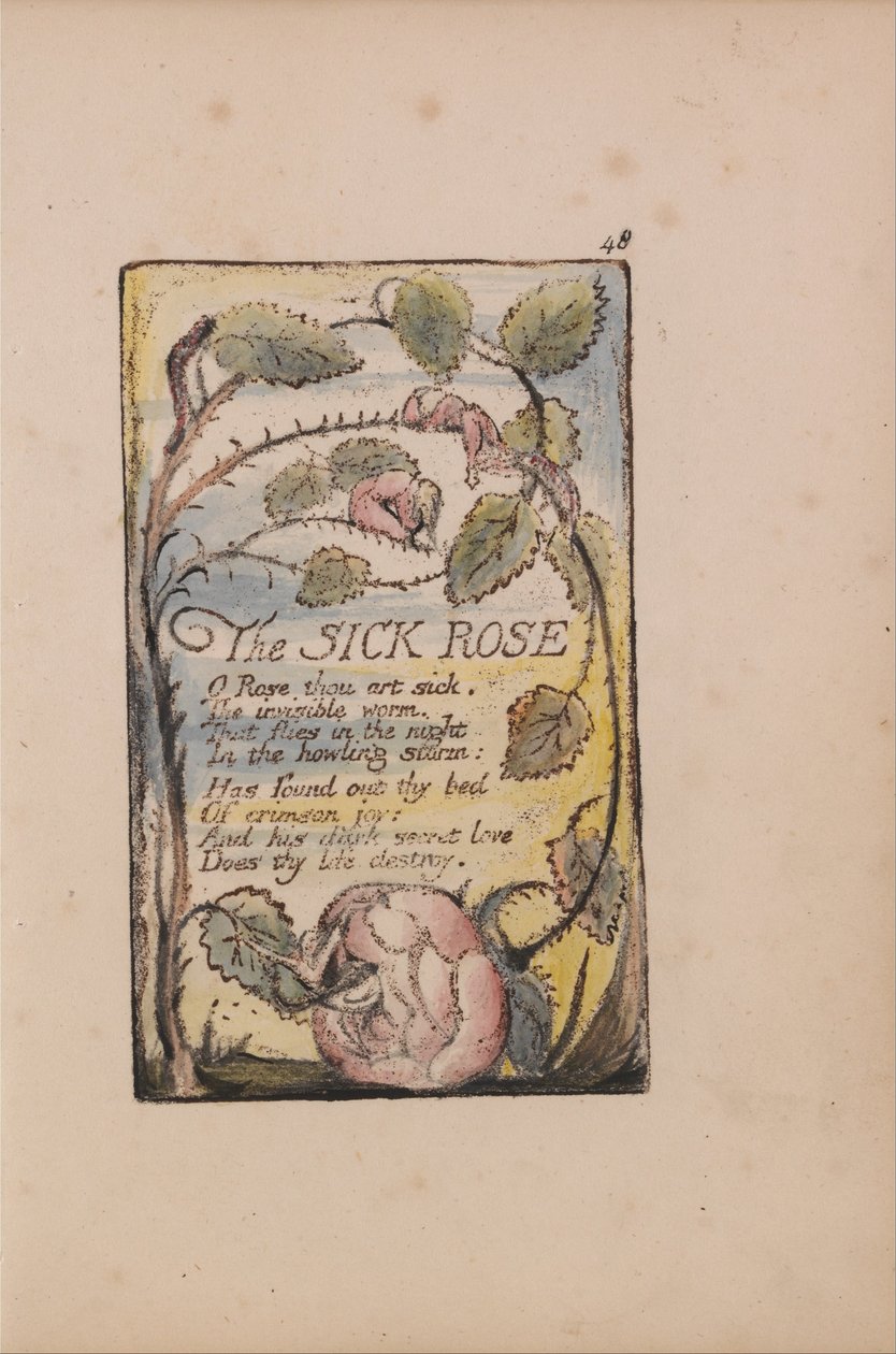 Songs of Innocence and of Experience, levy 48, sairas ruusu (Bentley 39) tekijältä William Blake