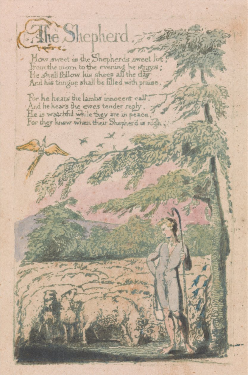 Viattomuuden ja kokemuksen lauluja, levy 4, Paimen (Bentley 5) tekijältä William Blake