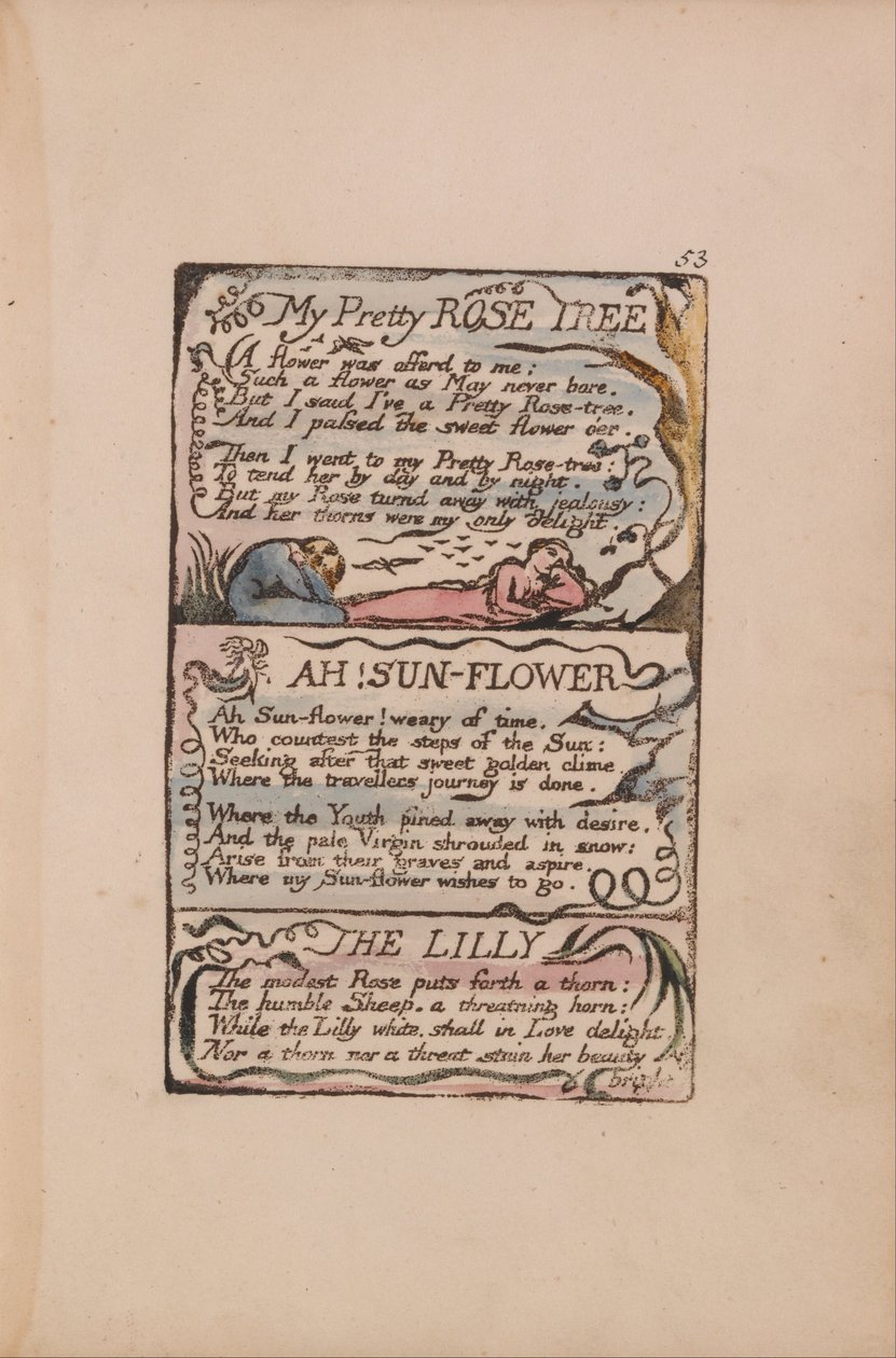 Lauluja viattomuudesta ja kokemuksesta, levy 53, Kaunis ruusupuuni, Ah! Aurinkokukka, Lilja... tekijältä William Blake