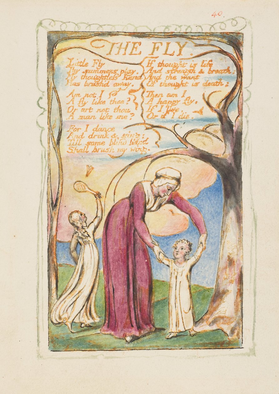 Songs of Innocence and of Experience: The Fly, n. 1825. tekijältä William Blake