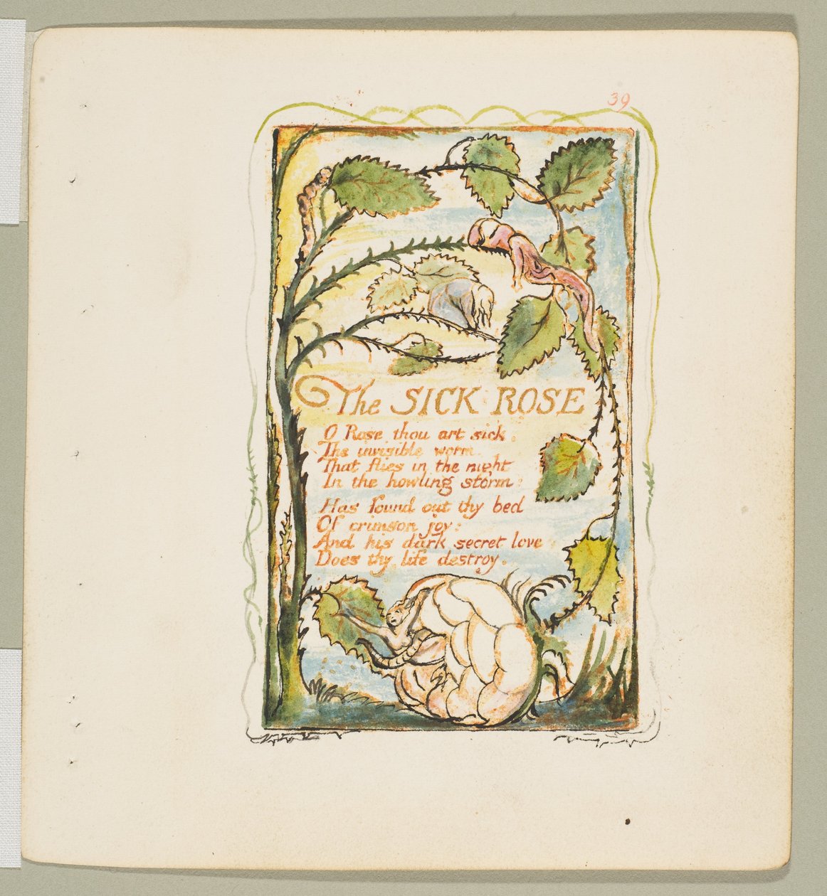 Songs of Innocence and of Experience: The Sick Rose, n. 1825. tekijältä William Blake