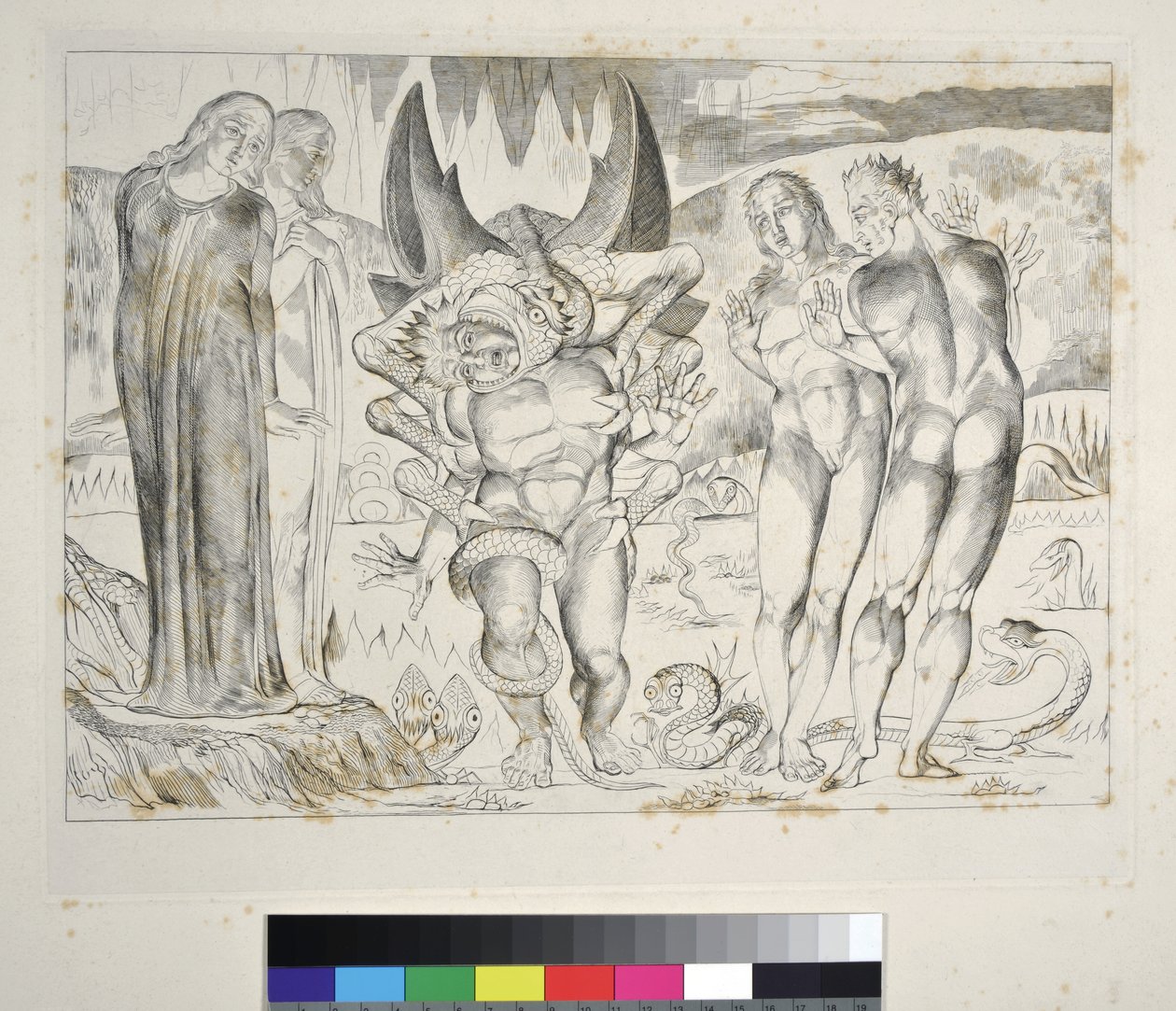 El cercle dels lladres: Agnolo Brunelleschi atacat per un infern de serp de sis peus, Cant XXV, il·lustració de la "Divina Comèdia" de Dante Alighieri finlandès tekijältä William Blake