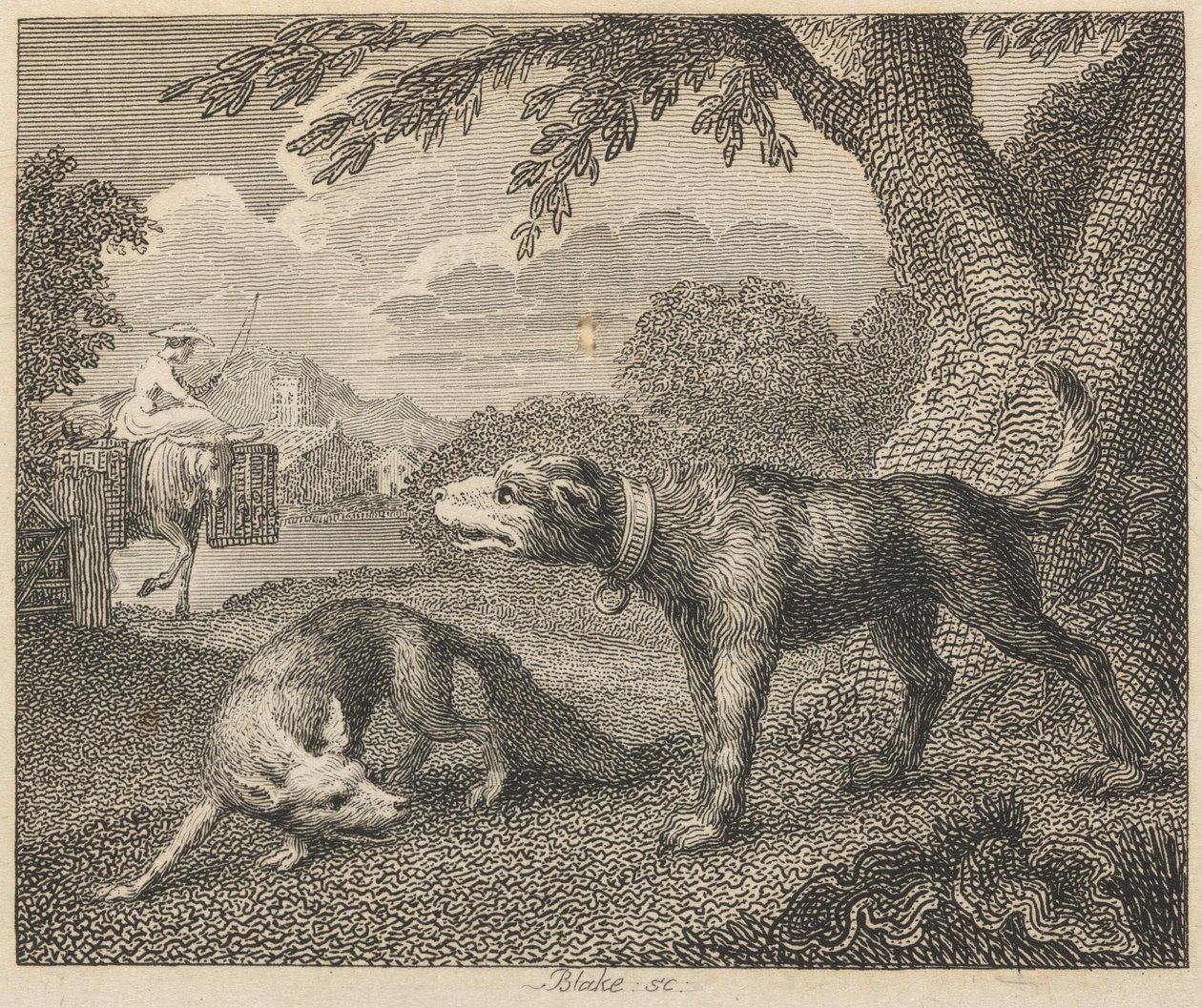 O Cachorro e o Foxfinlandês tekijältä William Blake