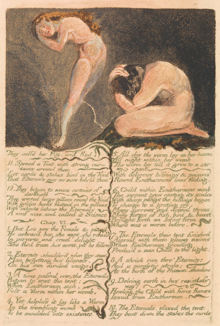 Ensimmäinen Urizenin kirja, levy 17, "He kutsuivat häntä sääliksi ja pakenivat...." (Bentley 19) tekijältä William Blake