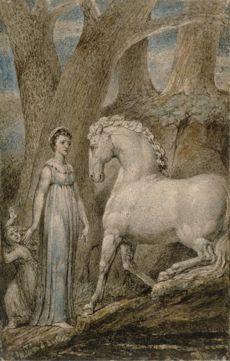 Hevonen tekijältä William Blake