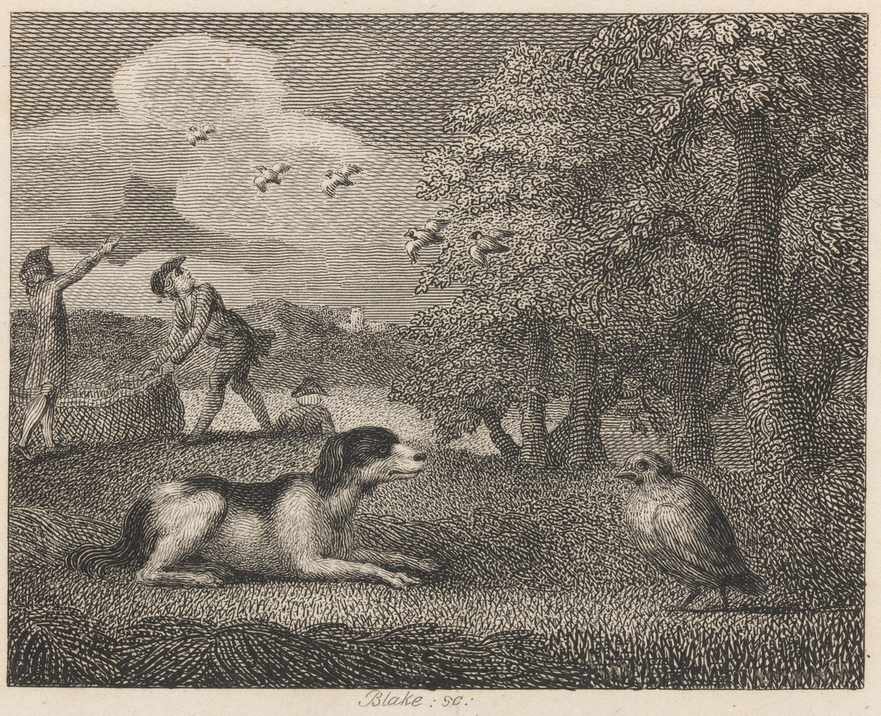 Setting-koira ja Partridge tekijältä William Blake