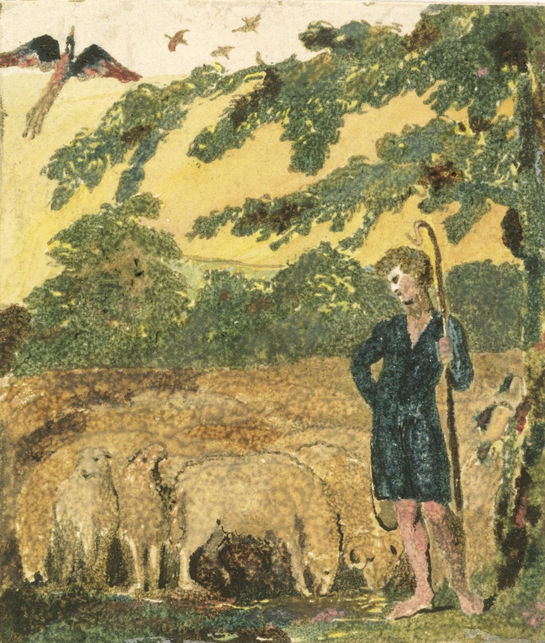 Paimen, kappaleesta Songs of Innocence tekijältä William Blake