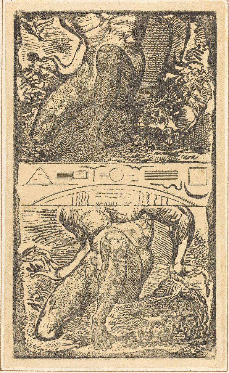 Tuntematon aihe (Antakaa hänen katsoa ylös taivaaseen ja nauraa kirkkaassa ilmassa) tekijältä William Blake