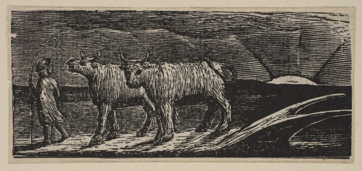 Unyokd Heifers, Loitering Homeward, kirjasta Thorntons Pastorals of Vergil, 1821. tekijältä William Blake