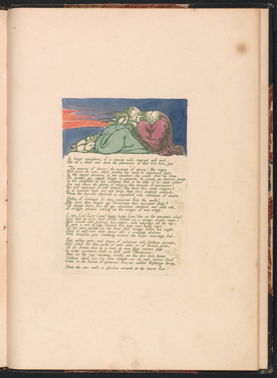 Visions of the Daughters of Albion, levy 10, onnellisessa parittelussa. . . . tekijältä William Blake