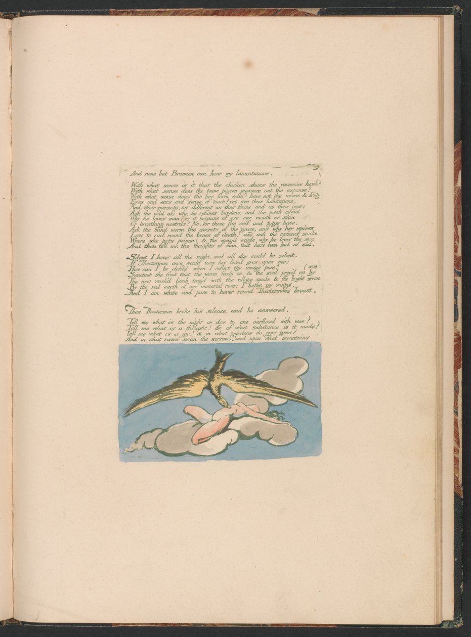 Visioita Albionin tyttäristä, levy 6, eikä kukaan muu kuin Bromian. . . . tekijältä William Blake