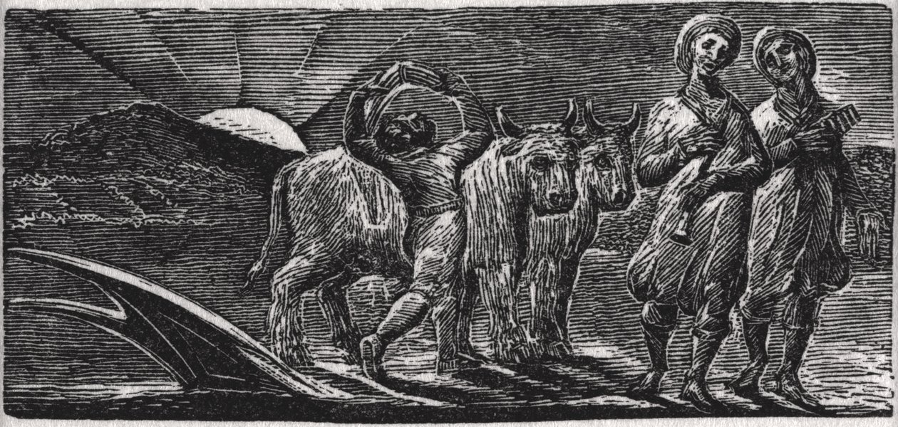 Songs the Jovial Hinds Return from Plough, kuvitus tohtori Thorntonin teoksesta "The Pastorals of Vergil" tekijältä William Blake
