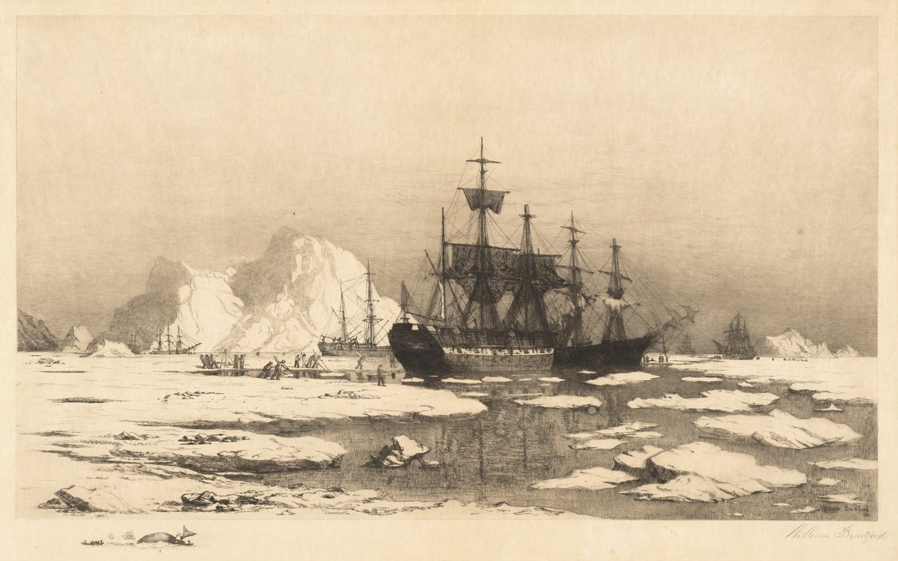 Jäälauttojen joukossa tekijältä William Bradford