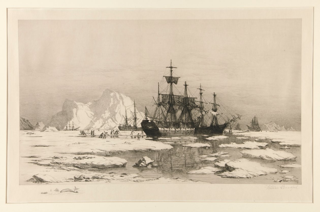 Tiivistelijät arktisella alueella, maalauksen jälkeen: Jäälauttojen joukossa, 1875 tekijältä William Bradford