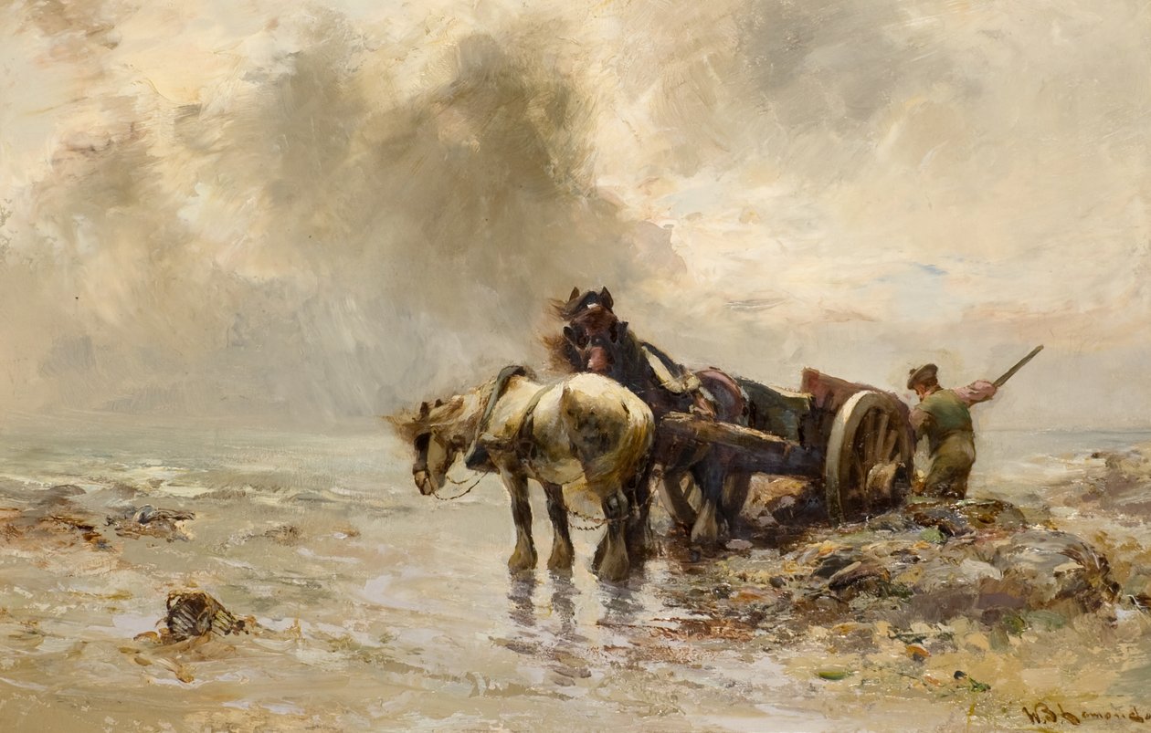 Carting Seaweed (öljy kankaalle) tekijältä William Bradley Lamond