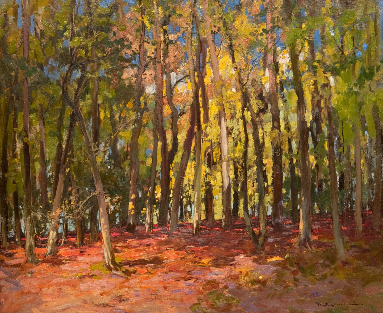 The Witches Wood tekijältä William Bradley Lamond