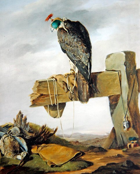 Peregrine Falcon hupussaan ja kihara maassa tekijältä William Brodrick
