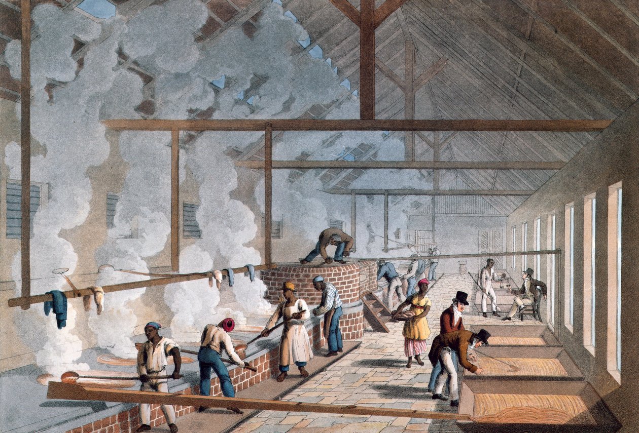 - Sokeriviljelmällä sijaitsevan Boiling Housen sisustus elokuvassa "Kymmenen näkymää Antiguan saarella, jossa on edustettuna sokerin valmistusprosessi ja neekereiden työllistäminen" William Clark. 1823. tekijältä William Clark