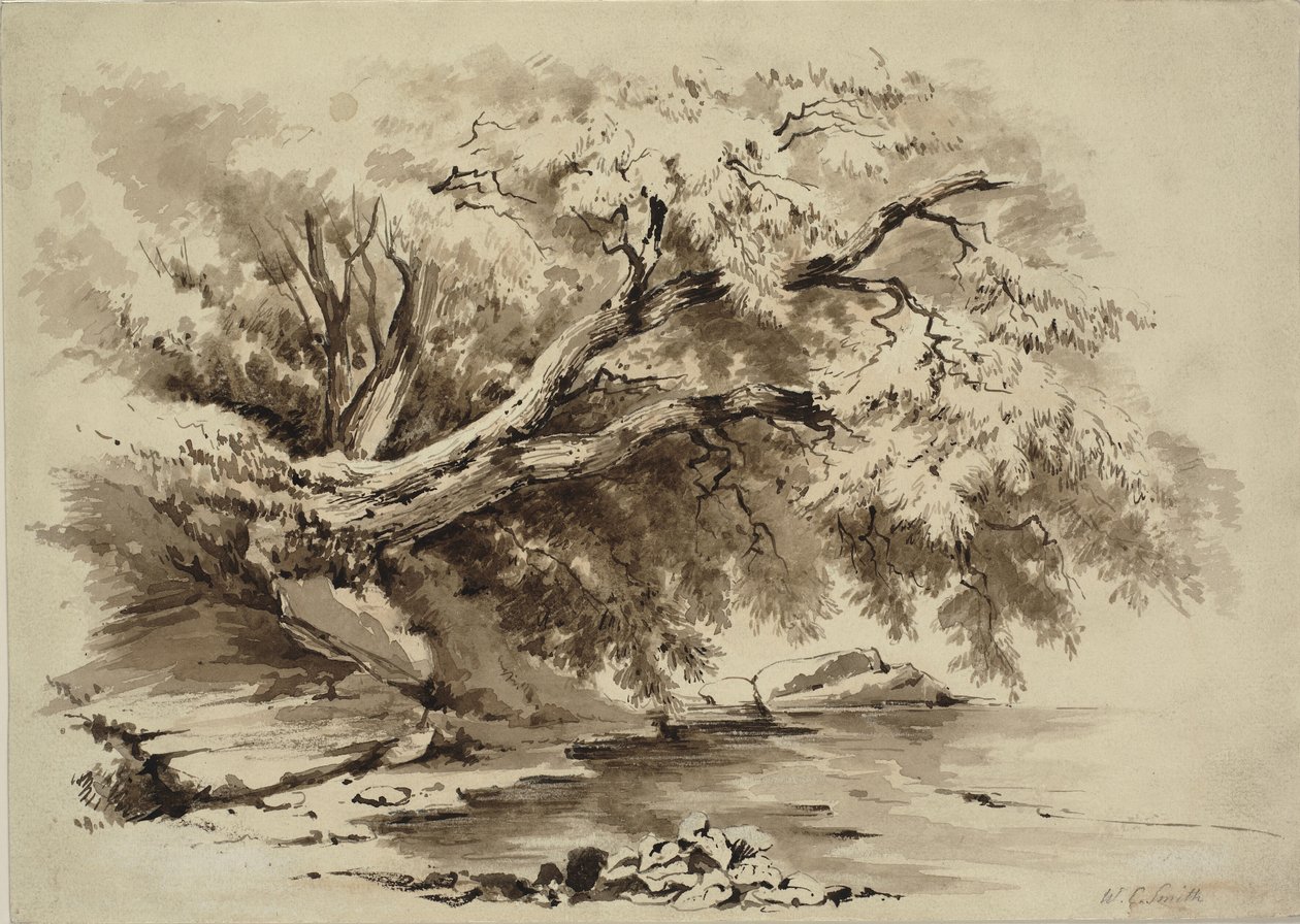 Maisema puilla järven yläpuolella tekijältä William Collingwood Smith
