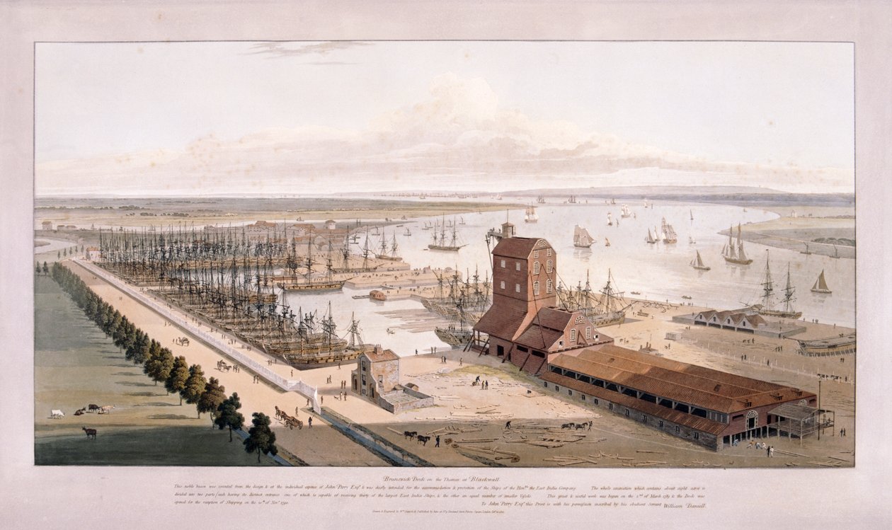 Brunswick Dock ja East India Dock, Poplar, Lontoo, 1803 tekijältä William Daniell
