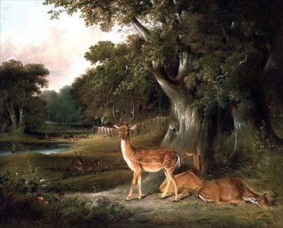Peuroja metsäisessä maisemassa tekijältä William Daniell