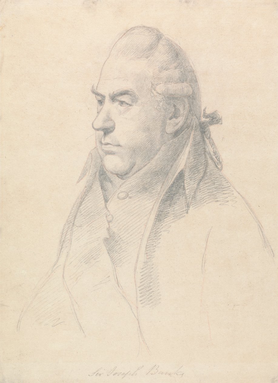 Sir Joseph Banks tekijältä William Daniell