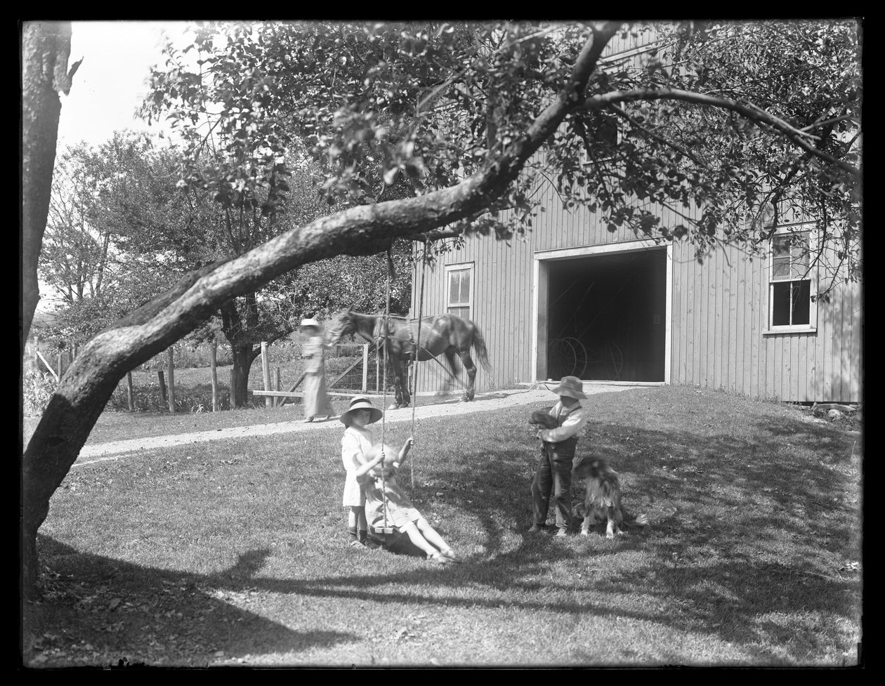 McCready-perheen lapset koiran ja koiranpennun kanssa ovat kokoontuneet köysikeinun ympärille ladon ulkopuolella, noin 1913. tekijältä William Davis Hassler