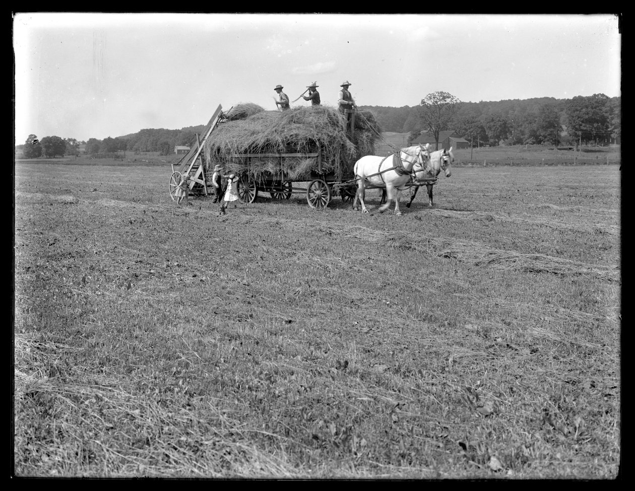 Maatilatyöntekijät lastaamassa heinää hevosvetoiseen heinävaunuun, McCready Farm, Crawford County, Pennsylvania, n. 1913 tekijältä William Davis Hassler